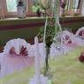 Schladming-Dachstein - Hotel-Restaurant-Loy