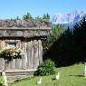Schladming-Dachstein - Mitterwallnerhof