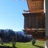 SkiWelt Wilder Kaiser-Brixental  - Appartement Riedling