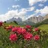 Val di Fassa - ALBERGO ASTORIA - RISTORANTE DE TOFI