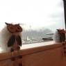 SkiWelt Wilder Kaiser-Brixental  - Sunnseit' Appartement