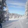Schladming-Dachstein - Grundnerhof