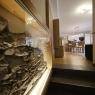 Schladming-Dachstein - Central, Appartement