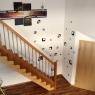 Schladming-Dachstein - Appartements Harreiter