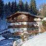 SkiWelt Wilder Kaiser-Brixental  - Haus am Erlenrain, Ferienwohnung