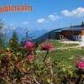 Schladming-Dachstein - Naturfreunde-Schutzhaus Kaiblingalm
