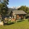 Schladming-Dachstein - Pension Bruckreiterhof