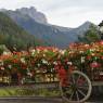 Val di Fassa - ALPINE TOURING HOTEL