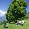 Schladming-Dachstein - Haus Arnold
