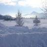 SkiWelt Wilder Kaiser-Brixental  - Apartment Anita