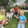 Schladming-Dachstein - Hüttstädterhof - Familie Pötsch