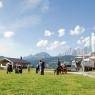 Schladming-Dachstein - Almwelt Austria