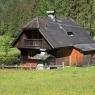 Schladming-Dachstein - Hinkerlehen