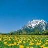 Schladming-Dachstein - Rotbühelhütte