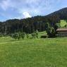 SkiWelt Wilder Kaiser-Brixental  - Appartement Ruhstatt