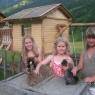 Schladming-Dachstein - Bauernhof Weichbold vlg. Hoanz