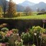 SkiWelt Wilder Kaiser-Brixental  - Appartement Bichler Rosi