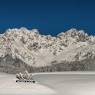 SkiWelt Wilder Kaiser-Brixental  - Ferienwohnung Springer