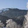 SkiWelt Wilder Kaiser-Brixental  - Tanja's Auwald Juwel