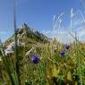 Schladming-Dachstein - Haus Weinacht