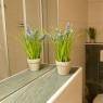 Flachau - Philips, Appartement
