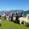 Schladming-Dachstein - Klausnerhof