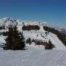 SkiWelt Wilder Kaiser-Brixental  - Salvenmoser Johanna, Ferienwohnung