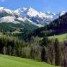 Schladming-Dachstein - Haus Bergland