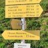 SkiWelt Wilder Kaiser-Brixental  - Mühltalhof, Bauernhof
