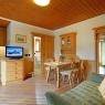 SkiWelt Wilder Kaiser-Brixental  - Appartement Hinterholzer