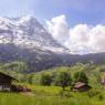 Grindelwald - Chalet Jolimont