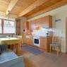 SkiWelt Wilder Kaiser-Brixental  - Moser, Appartements