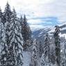 SkiWelt Wilder Kaiser-Brixental  - Ferienhütte Hörbiger