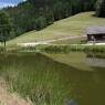 Schladming-Dachstein - Ferienhaus Oppenauer Gut