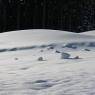 Schladming-Dachstein - Pension Steiermark