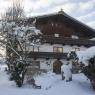 SkiWelt Wilder Kaiser-Brixental  - Bauernhof Bichlhof - Elisabeth Bliem