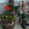 Schladming-Dachstein - Familien & Wanderpension Purkhardt