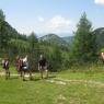 Schladming-Dachstein - Haus Moser