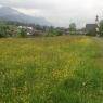 SkiWelt Wilder Kaiser-Brixental  - Kaiserchalet Dancy