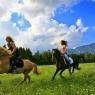 Schladming-Dachstein - Pürcherhof