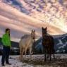 Schladming-Dachstein - Pension Brandstätter