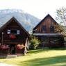 Schladming-Dachstein - Harreiterhof - Bauernhof