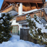 Arosa - Lenzerheide - Wohnung Valos Figi