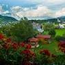 Schladming-Dachstein - Landhaus amadeus