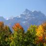 Les Diablerets - Résidence du Golf B17