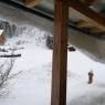 Schladming-Dachstein - Familien & Wanderpension Purkhardt