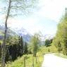 Schladming-Dachstein - Zauneralm