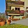 Schladming-Dachstein - Pension Spreitzhof