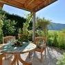 SkiWelt Wilder Kaiser-Brixental  - Appartment 