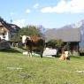 Schladming-Dachstein - Rodlerhof